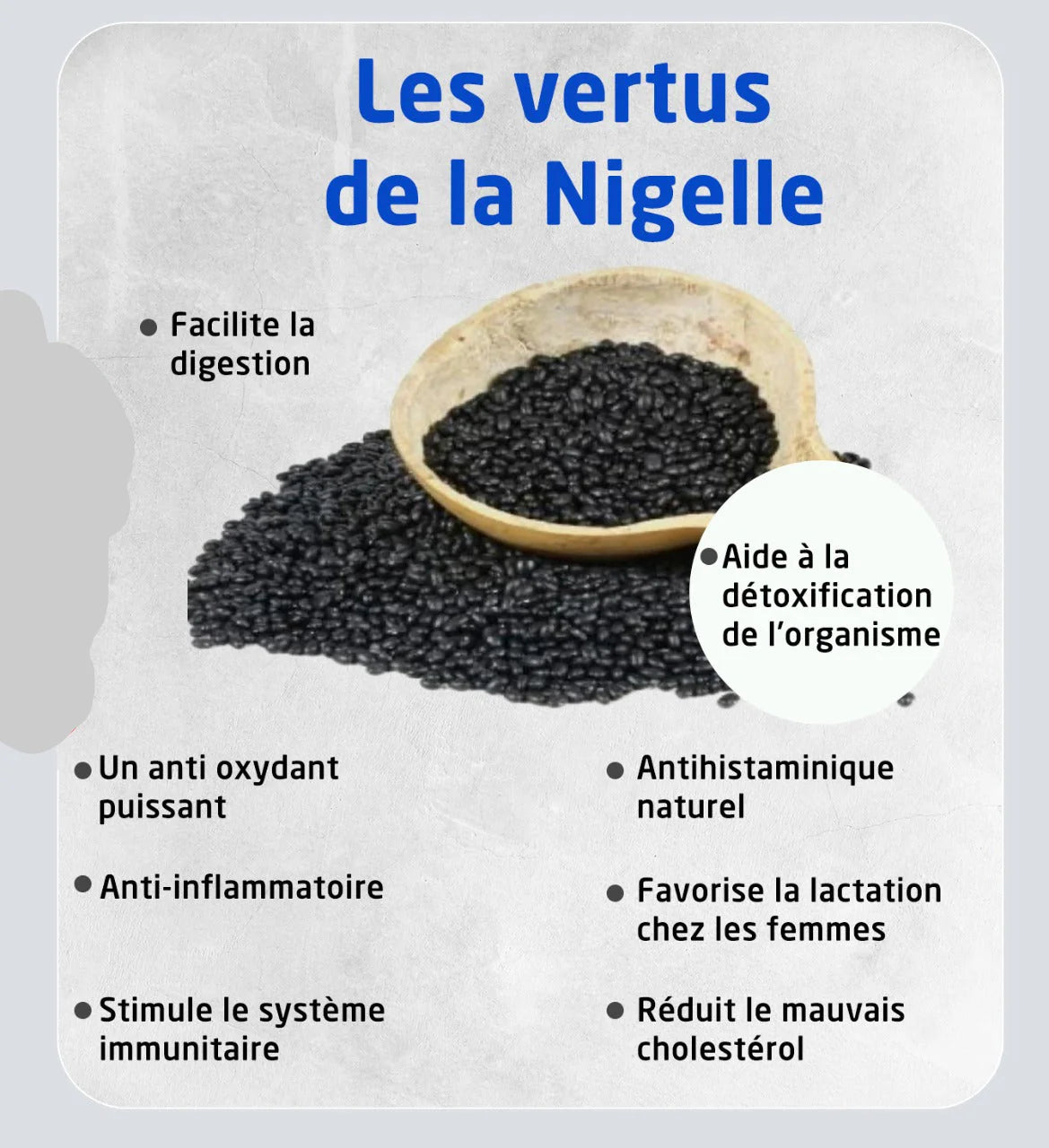 Miel de Nigelle avec Gingembre et Pollen d'Abeille - Habba Sawda - River Of Honey - 300g