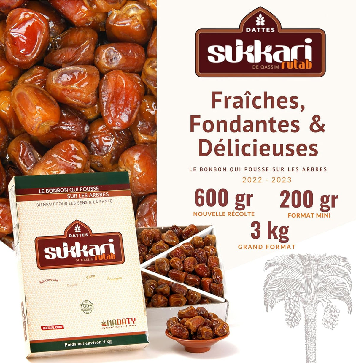 Dattes Fondantes Sukkari Rutab de Qassim 3 kg - NADATY - Des Bonbons qui Poussent sur les Arbres